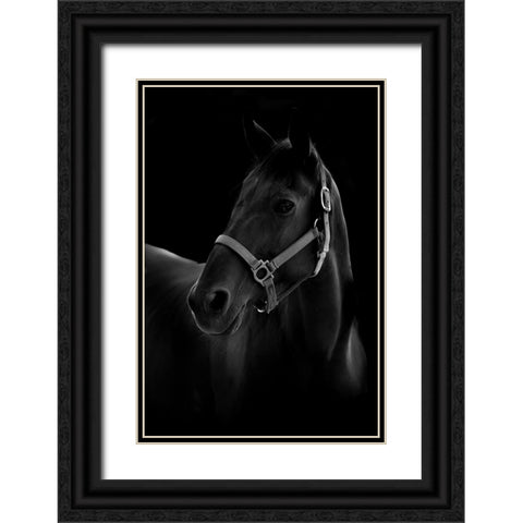 Horse Black Ornate Wood Framed Art Print with Double Matting by T, Yuya