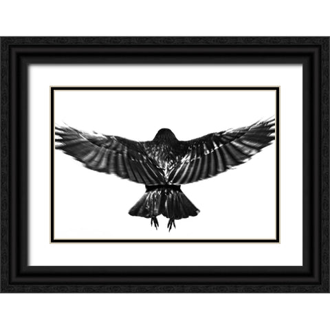 flying. Black Ornate Wood Framed Art Print with Double Matting by Hisamitsu, Yuusuke