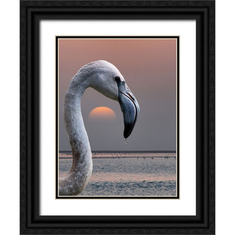 This Is My World Black Ornate Wood Framed Art Print with Double Matting by Guillemot, Mathilde