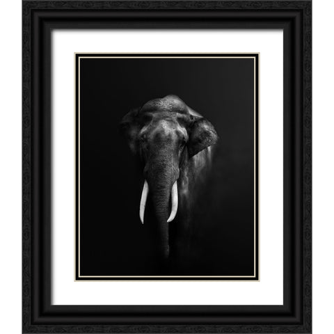Elephant Portrait Black Ornate Wood Framed Art Print with Double Matting by Guha, Jayanta