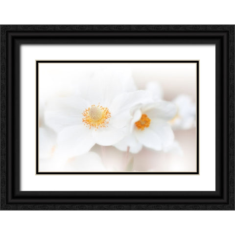 Her Name Is Love...Iii Black Ornate Wood Framed Art Print with Double Matting by Nan, Juliana