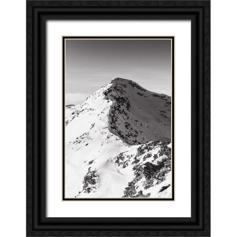 La montagna Black Ornate Wood Framed Art Print with Double Matting by Bolognese, Christian