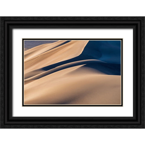 Desert Black Ornate Wood Framed Art Print with Double Matting by Razavi, Mahshad