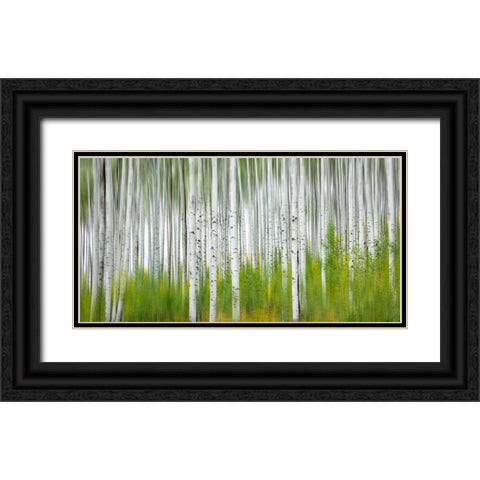 Aspen Forest Black Ornate Wood Framed Art Print with Double Matting by Yang, Jimmy