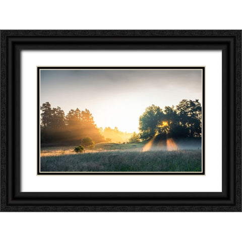 Summer field with sunrays Black Ornate Wood Framed Art Print with Double Matting by Lindsten, Christian