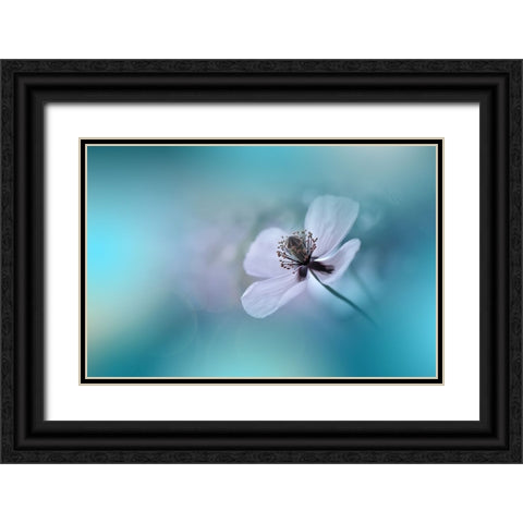 Walk Softly.. Black Ornate Wood Framed Art Print with Double Matting by Nan, Juliana