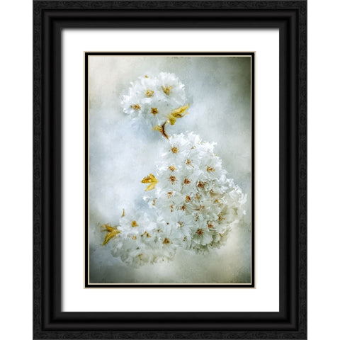 Cherry Blossoms Black Ornate Wood Framed Art Print with Double Matting by Zvinakeviciute, Kristina