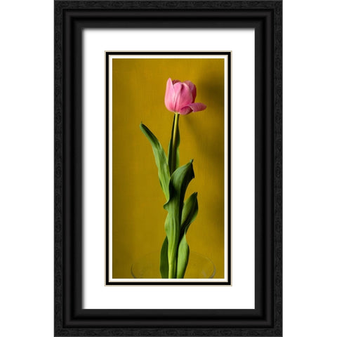 Tulip3 Black Ornate Wood Framed Art Print with Double Matting by De Malleray, Delphine