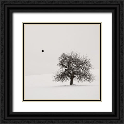 Old Cherry Tree Black Ornate Wood Framed Art Print with Double Matting by Weisbek, Lena