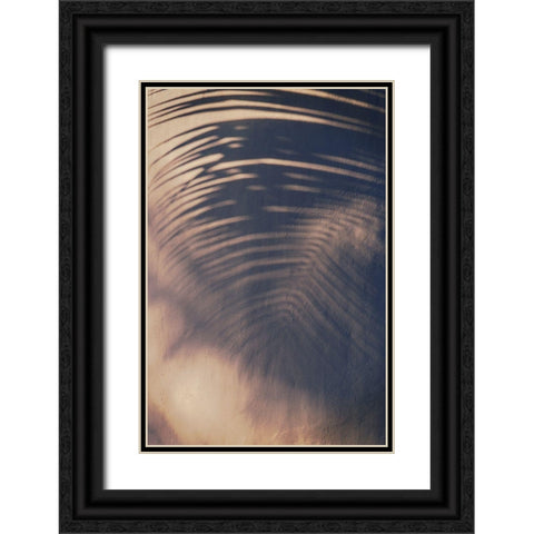 Wall a Palm Shadow Black Ornate Wood Framed Art Print with Double Matting by Mossholder, Tim
