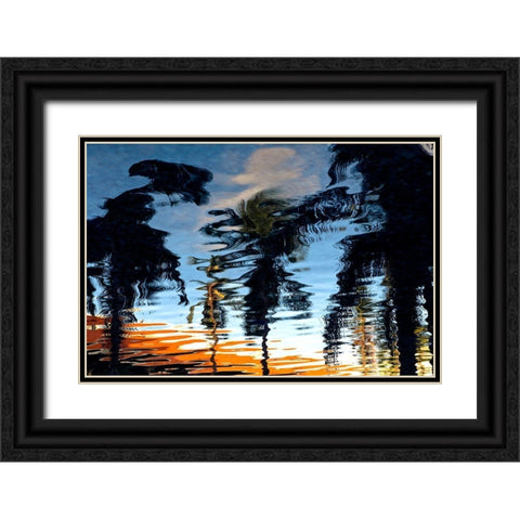 Palm Reflections Black Ornate Wood Framed Art Print with Double Matting by Mossholder, Tim