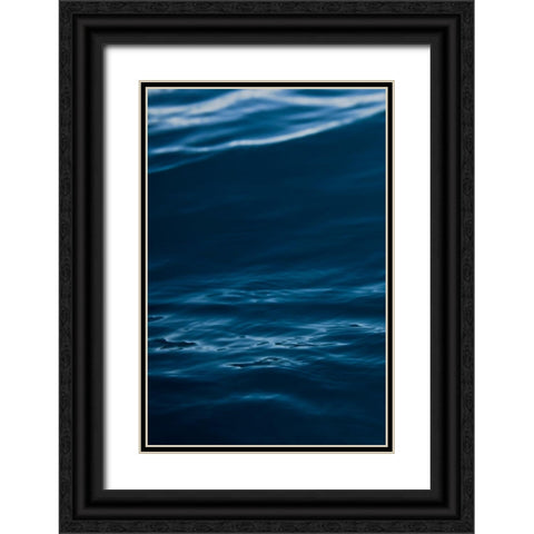 Watery Black Ornate Wood Framed Art Print with Double Matting by Mossholder, Tim