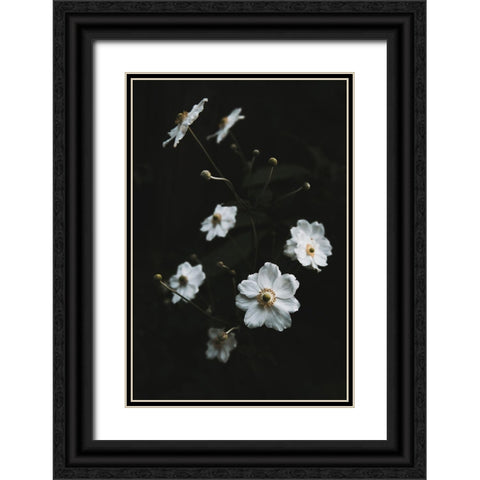 White Flowers Black Ornate Wood Framed Art Print with Double Matting by Mossholder, Tim