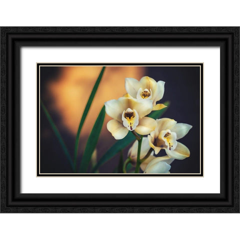Orchids Black Ornate Wood Framed Art Print with Double Matting by Mossholder, Tim