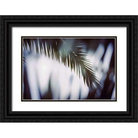 Palm Branches Black Ornate Wood Framed Art Print with Double Matting by Mossholder, Tim