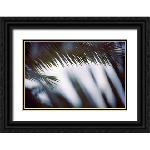 Palm Branches Black Ornate Wood Framed Art Print with Double Matting by Mossholder, Tim