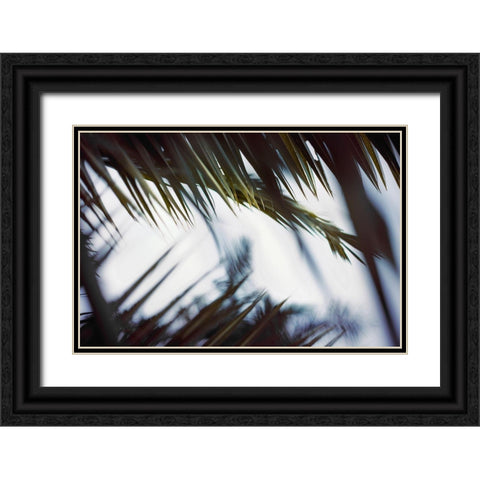 Palm Branches Black Ornate Wood Framed Art Print with Double Matting by Mossholder, Tim