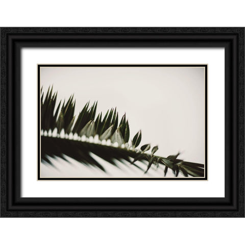 Palm Branches Black Ornate Wood Framed Art Print with Double Matting by Mossholder, Tim