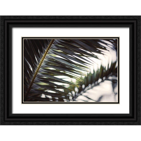 Palm Branches Black Ornate Wood Framed Art Print with Double Matting by Mossholder, Tim