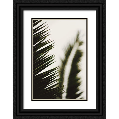 Palm Branches Black Ornate Wood Framed Art Print with Double Matting by Mossholder, Tim