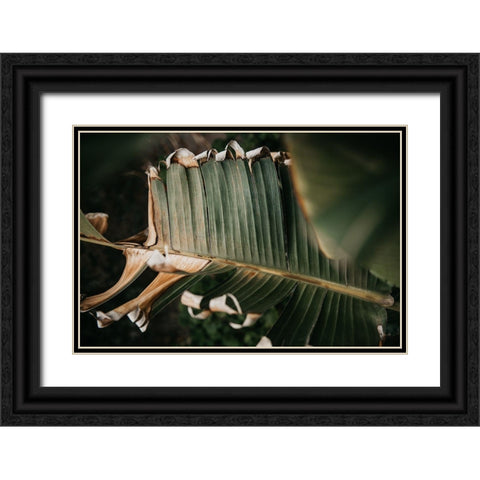 Palm Decay Black Ornate Wood Framed Art Print with Double Matting by Mossholder, Tim