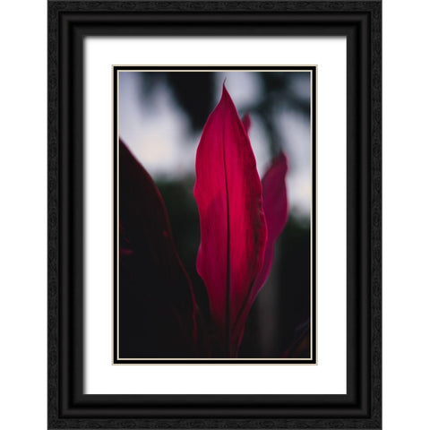 Red Plan at Dusk Black Ornate Wood Framed Art Print with Double Matting by Mossholder, Tim