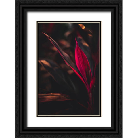 Red Plan at Dusk Black Ornate Wood Framed Art Print with Double Matting by Mossholder, Tim