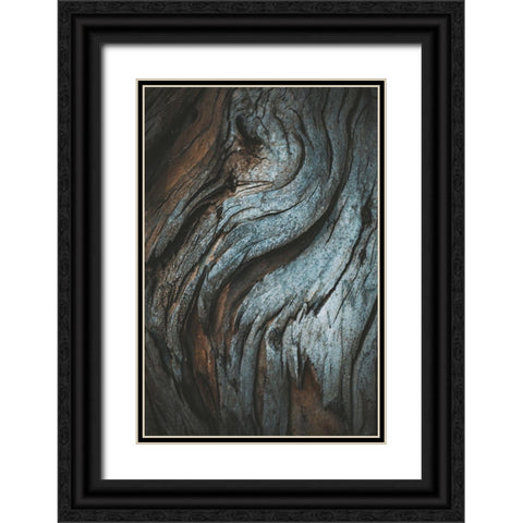 Eucalyptus Texture Black Ornate Wood Framed Art Print with Double Matting by Mossholder, Tim