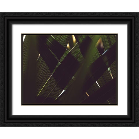 Palm Textures Black Ornate Wood Framed Art Print with Double Matting by Mossholder, Tim