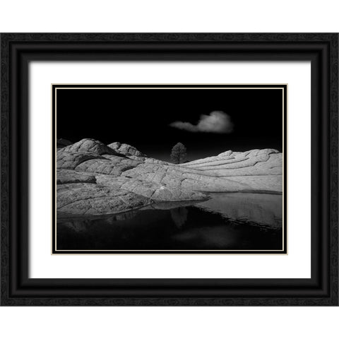 White Pocket Black Ornate Wood Framed Art Print with Double Matting by Dou, Shenshen