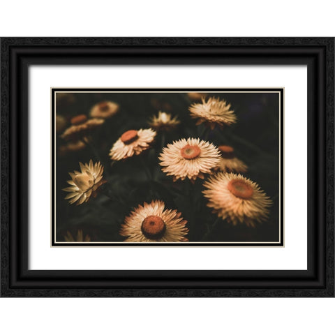Faded Flowers Black Ornate Wood Framed Art Print with Double Matting by Mossholder, Tim