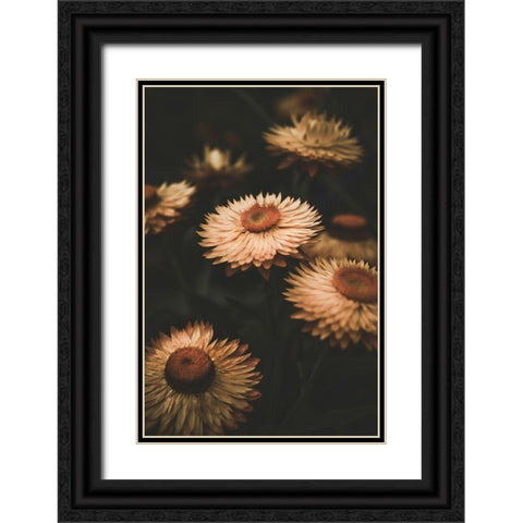 Faded Flowers Black Ornate Wood Framed Art Print with Double Matting by Mossholder, Tim