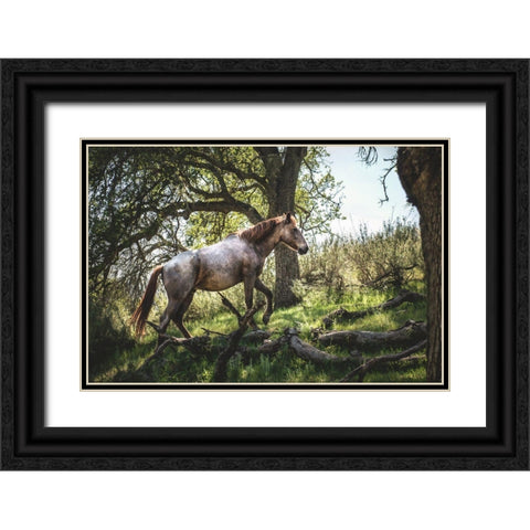 Hillside Horse Black Ornate Wood Framed Art Print with Double Matting by Mossholder, Tim