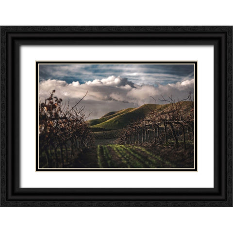 Dark Vineyards Black Ornate Wood Framed Art Print with Double Matting by Mossholder, Tim