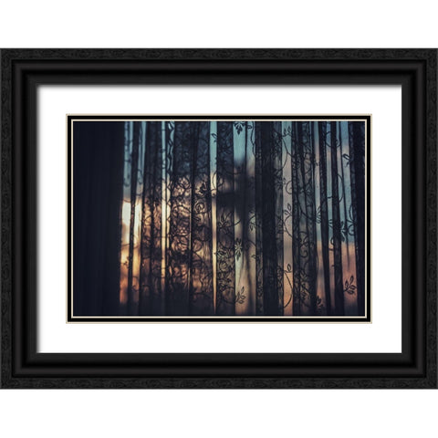 Lace Curtains Black Ornate Wood Framed Art Print with Double Matting by Mossholder, Tim