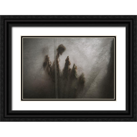 Protected Plants Black Ornate Wood Framed Art Print with Double Matting by Mossholder, Tim