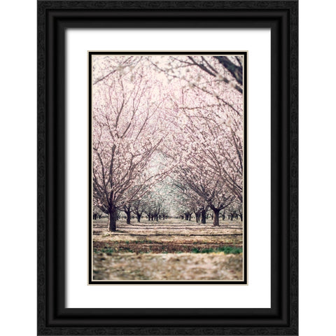 Almond Orchard Black Ornate Wood Framed Art Print with Double Matting by Mossholder, Tim