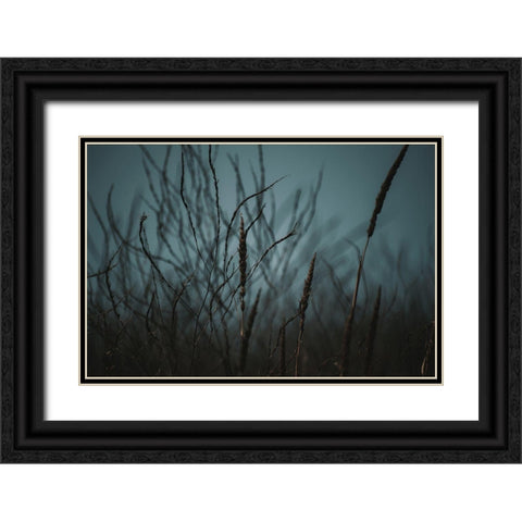 Dark Nature Black Ornate Wood Framed Art Print with Double Matting by Mossholder, Tim