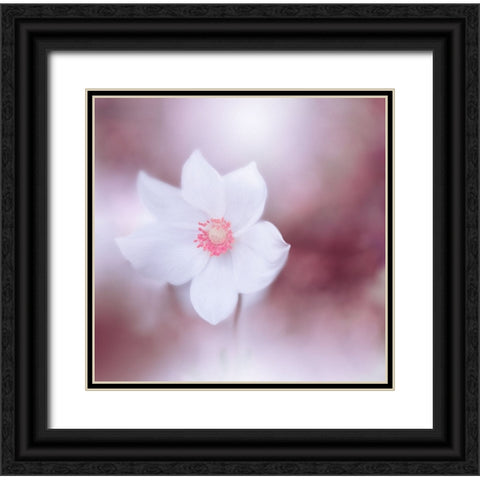 Eyes Wide Open.. Black Ornate Wood Framed Art Print with Double Matting by Nan, Juliana