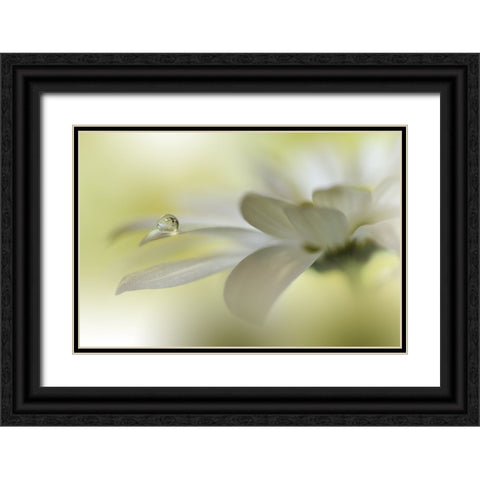 Dreams Of Heaven.. Black Ornate Wood Framed Art Print with Double Matting by Nan, Juliana