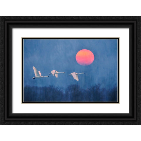 Foggy Sunrise Black Ornate Wood Framed Art Print with Double Matting by Li, Rob