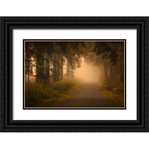 On the way into the fog Black Ornate Wood Framed Art Print with Double Matting by Maier, Norbert