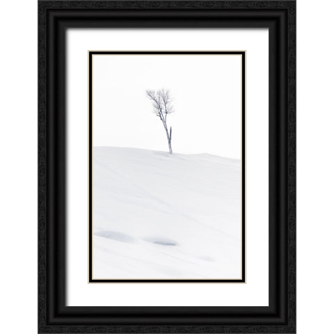 Lonely at Top Black Ornate Wood Framed Art Print with Double Matting by Oberai, Jassi