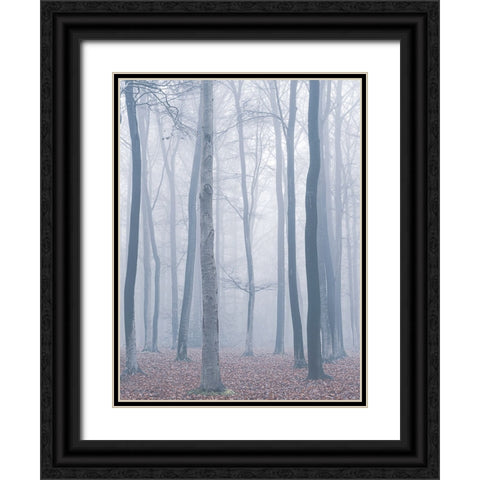 trees in fog Black Ornate Wood Framed Art Print with Double Matting by Mies, Maurice