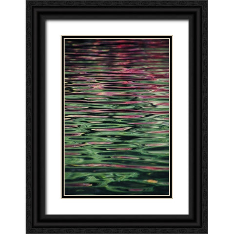 Flower reflection Black Ornate Wood Framed Art Print with Double Matting by Alcantara, Miguel