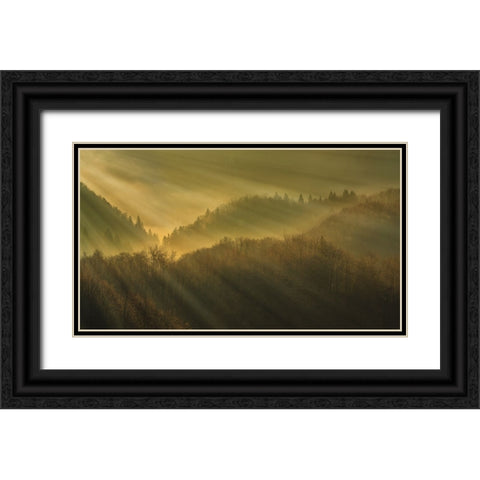 Rays of morning Black Ornate Wood Framed Art Print with Double Matting by Bor