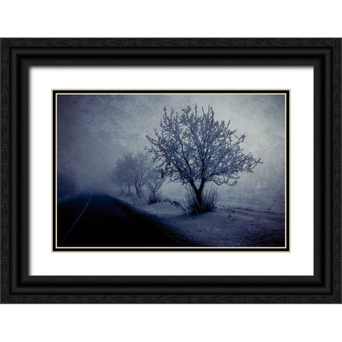 At night foggy Black Ornate Wood Framed Art Print with Double Matting by Kazamil, Farid