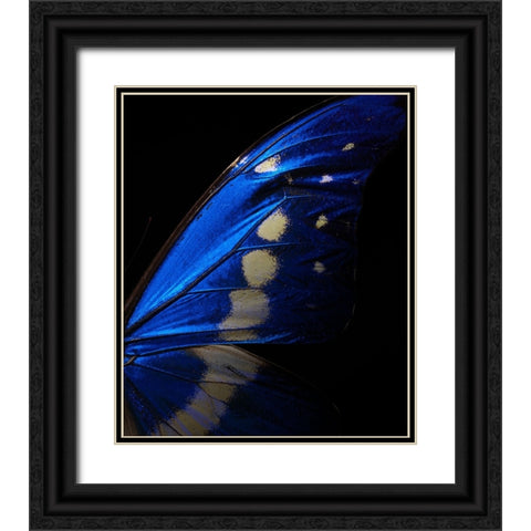 Morpho Black Ornate Wood Framed Art Print with Double Matting by Miyake, Shiro