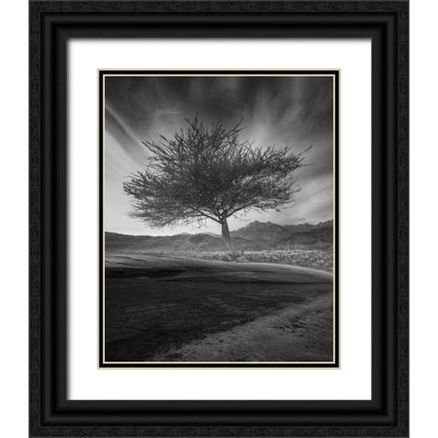 Revival Black Ornate Wood Framed Art Print with Double Matting by Alsubhi, Anas