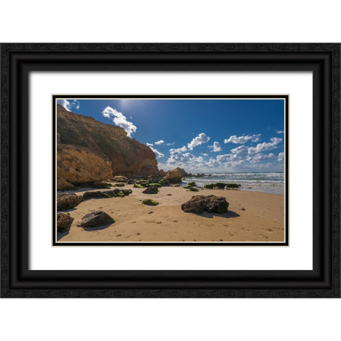 After The Storm Black Ornate Wood Framed Art Print with Double Matting by Gelman, Alan